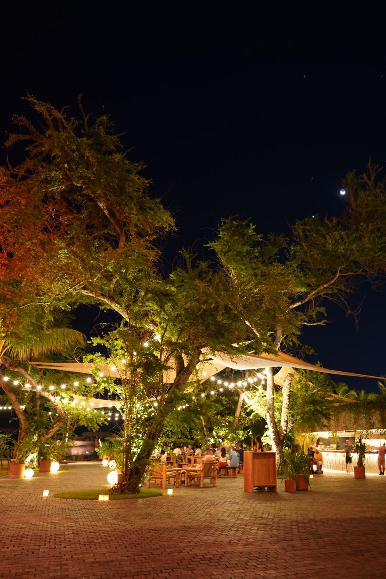 Potato Head Suites & Studios Seminyak Exterior foto The Tree of Life at night
